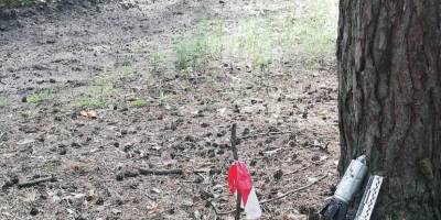 Сезон збору грибів у Запоріжжі скасовується!