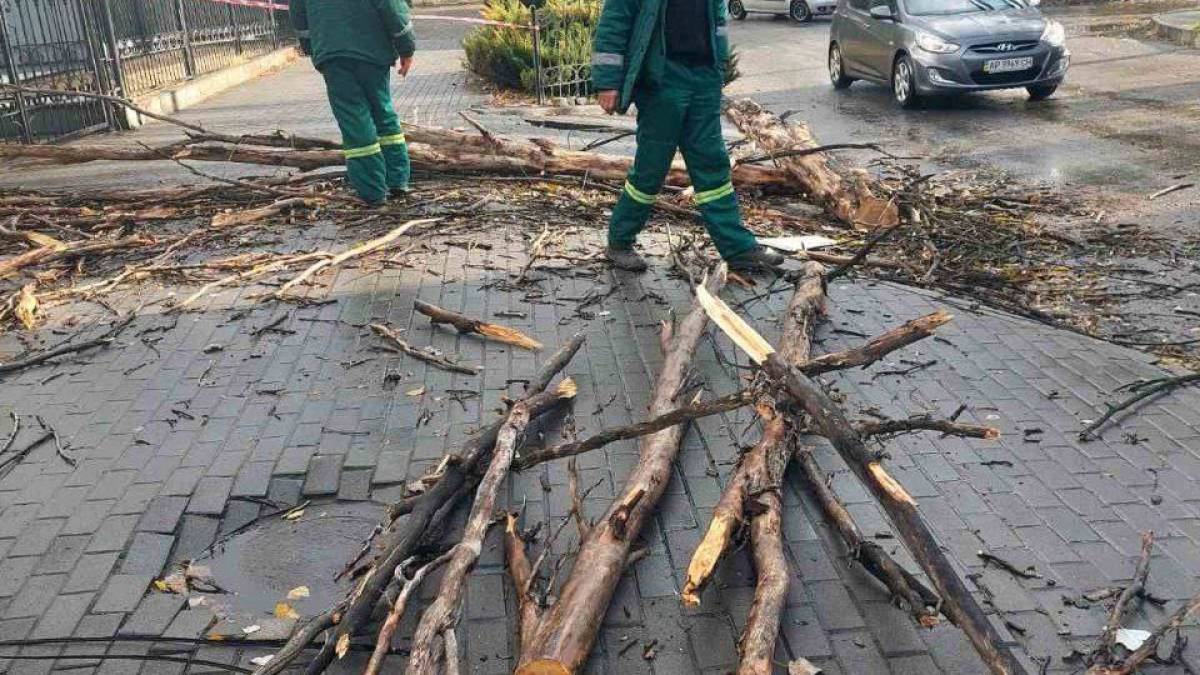 У Запоріжжі комунальні служби усувають наслідки дощу з вітром – фото
