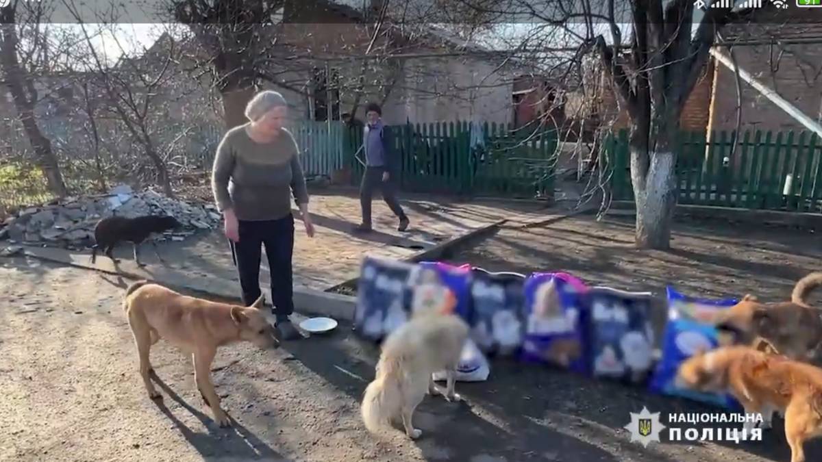 Півсотні котів та 18 собак щодня годують двоє людей в Оріхові
