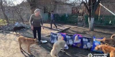 Півсотні котів та 18 собак щодня годують двоє людей в Оріхові