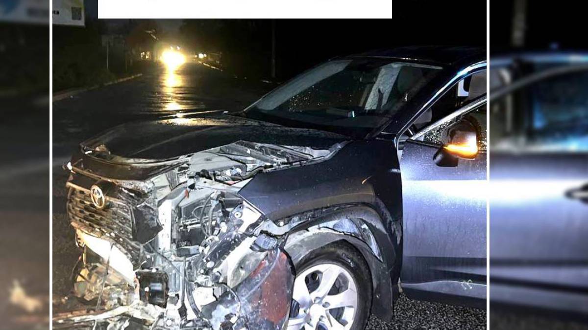 Основні причини ДТП у Запорізькій області: поліція показала статистику