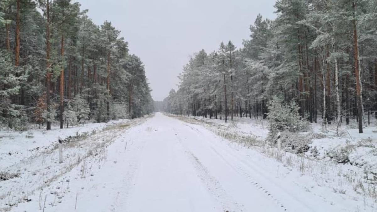 На Волині випав перший сніг, фото