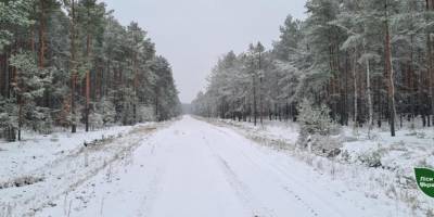 На Волині випав перший сніг, фото