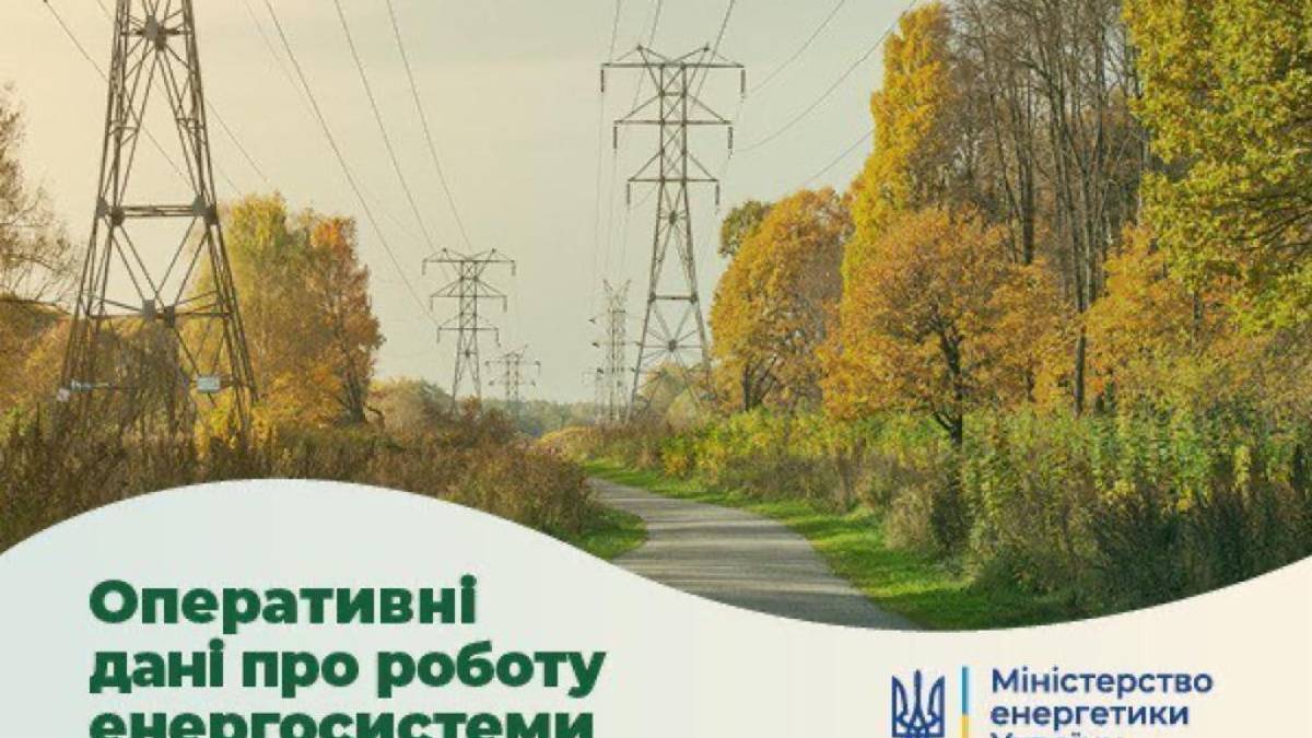 Через падіння російського дрона у Запорізькій області відключалась лінія електропередач