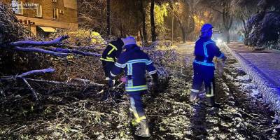 Понад 80 населених пунктів без світла через негоду – ДСНС