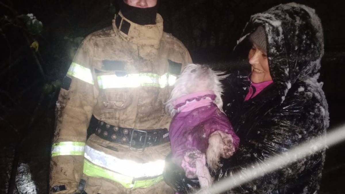 У Запоріжжі домашній улюбленець провалився у засипаний снігом льох