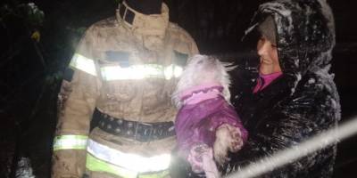 У Запоріжжі домашній улюбленець провалився у засипаний снігом льох