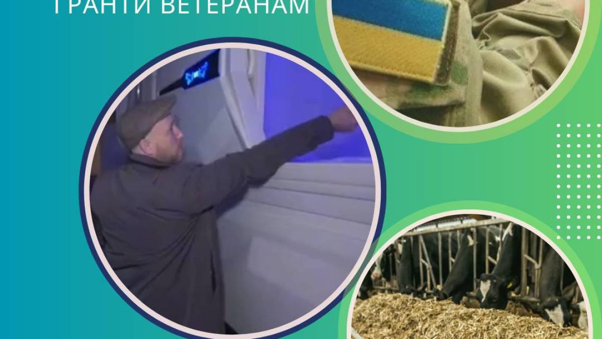 Гранти ветеранам: спрощено умови отримання