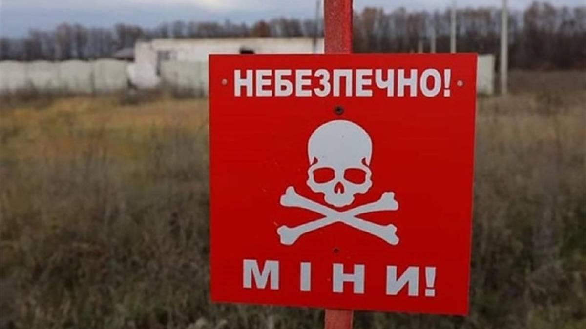 З початку війни в Україні загинули 265 осіб через підриви на мінах