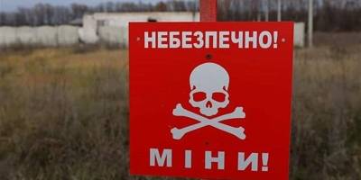З початку війни в Україні загинули 265 осіб через підриви на мінах