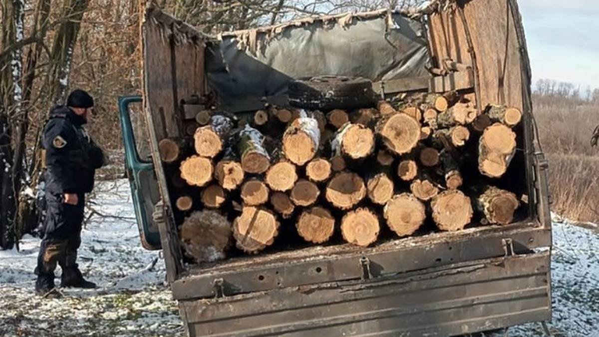 На Запоріжжі поліцейські викрили «чорних» лісорубів
