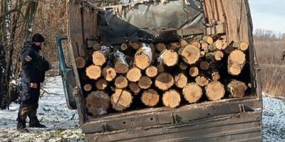 На Запоріжжі поліцейські викрили «чорних» лісорубів