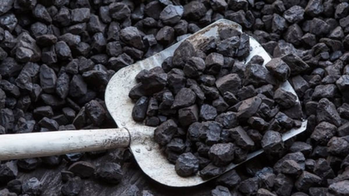 Запоріжці отримають додаткову підтримку на опалення житла дровами та вугіллям