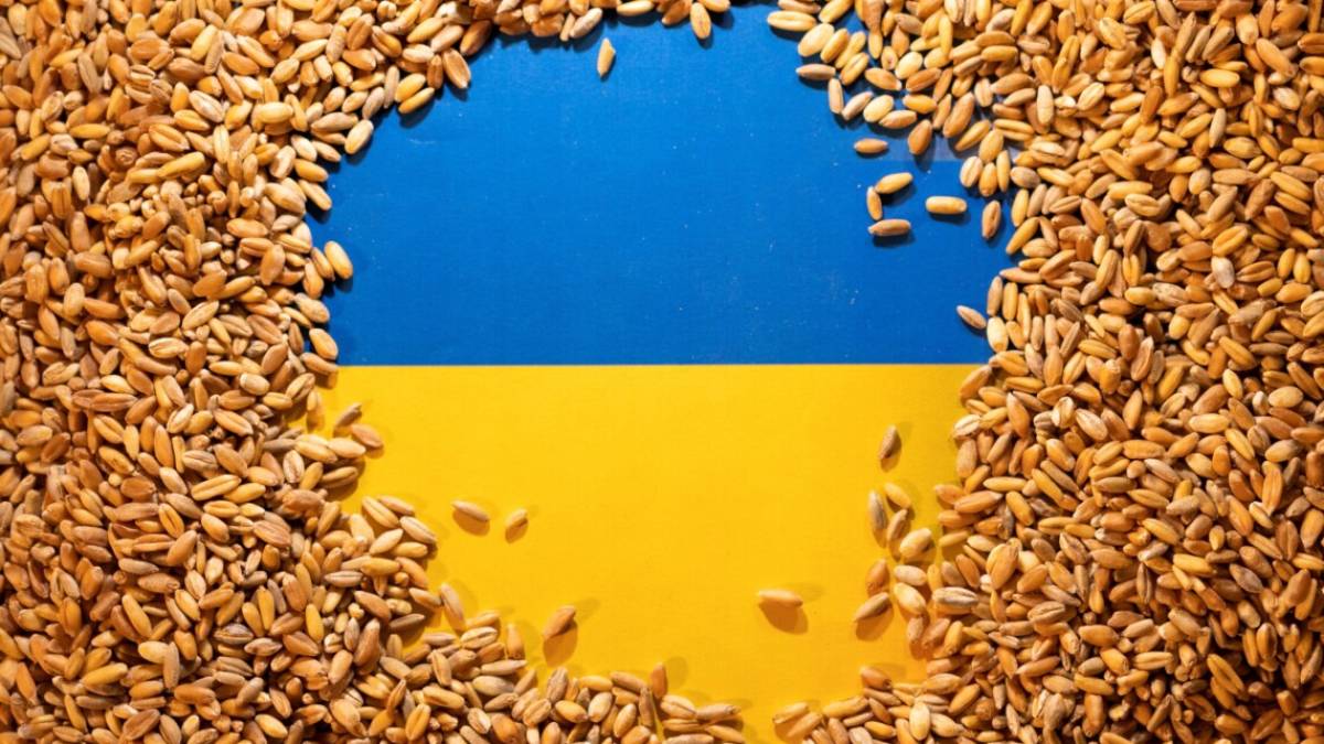 Ще дві країни Європи долучаться до фінансування ініціативи «Зерно з України»