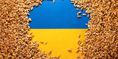 Ще дві країни Європи долучаться до фінансування ініціативи «Зерно з України»