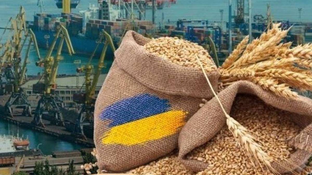 Мінагро: Україна експортувала вже понад 12 млн тонн зернових та зернобобових