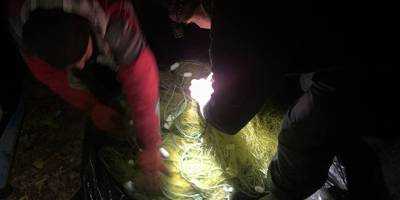 Впродовж тижня на Запоріжжі  з водойм вилучено 23 заборонених знарядь лову
