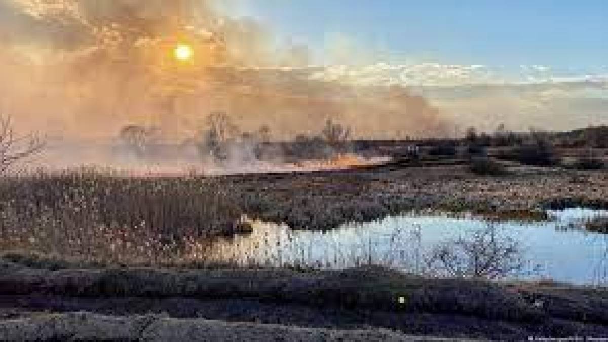 Збитки довкіллю України внаслідок російської війни – безпрецедентні та глобальні