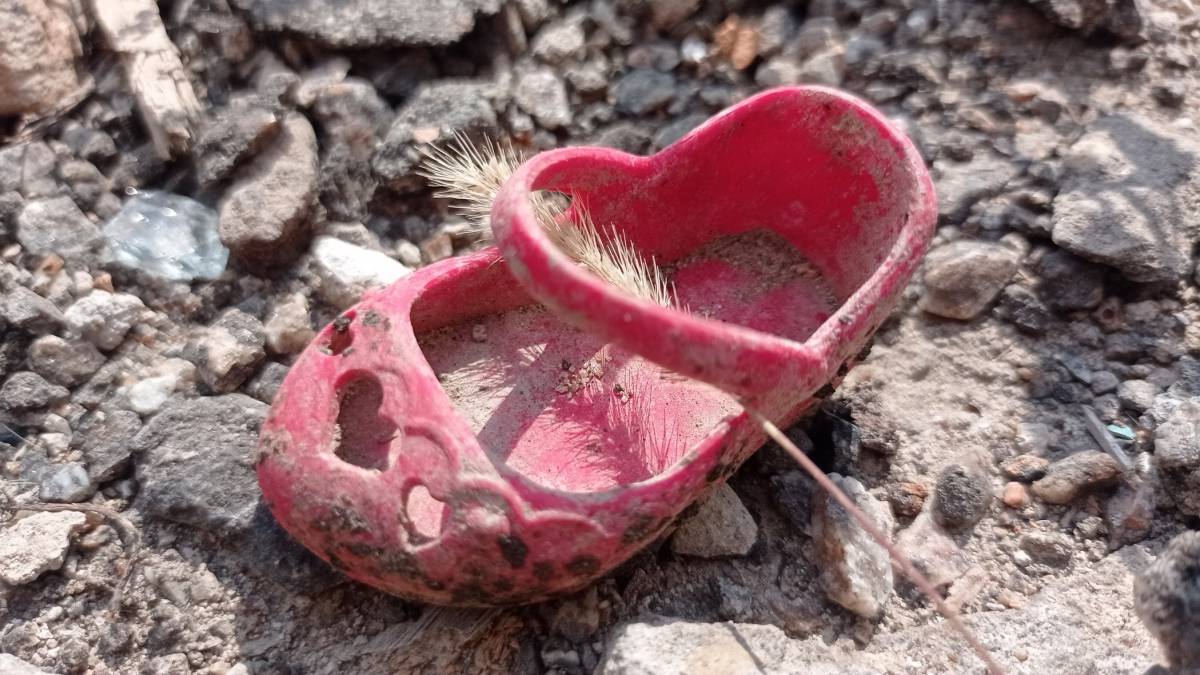 Проєкт Sunflowers допоможе міжнародному правосуддю покарати воєнних злочинців