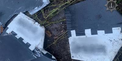 На околицях Запоріжжя збили російський ударний дрон – фото