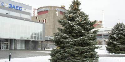 На окупованій Запорізькій АЕС стався повний блекаут, – Енергоатом