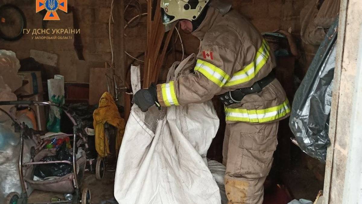 У селі під Запоріжжям врятували великого собаку, що опинився у пастці