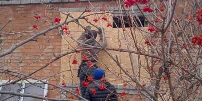 Волонтери YES надали допомогу в ремонті мешканцям запорізьких громад на передньому краї