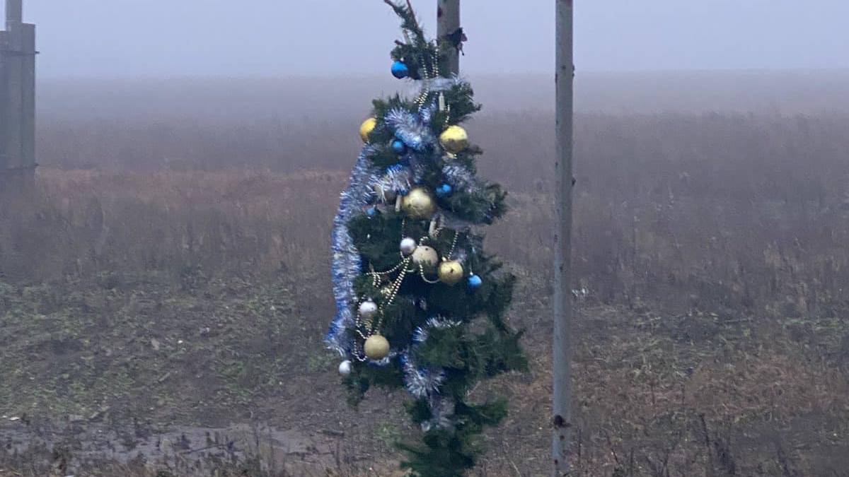 Символ незламності: “головна ялинка країни” — за 6 км від Бахмута