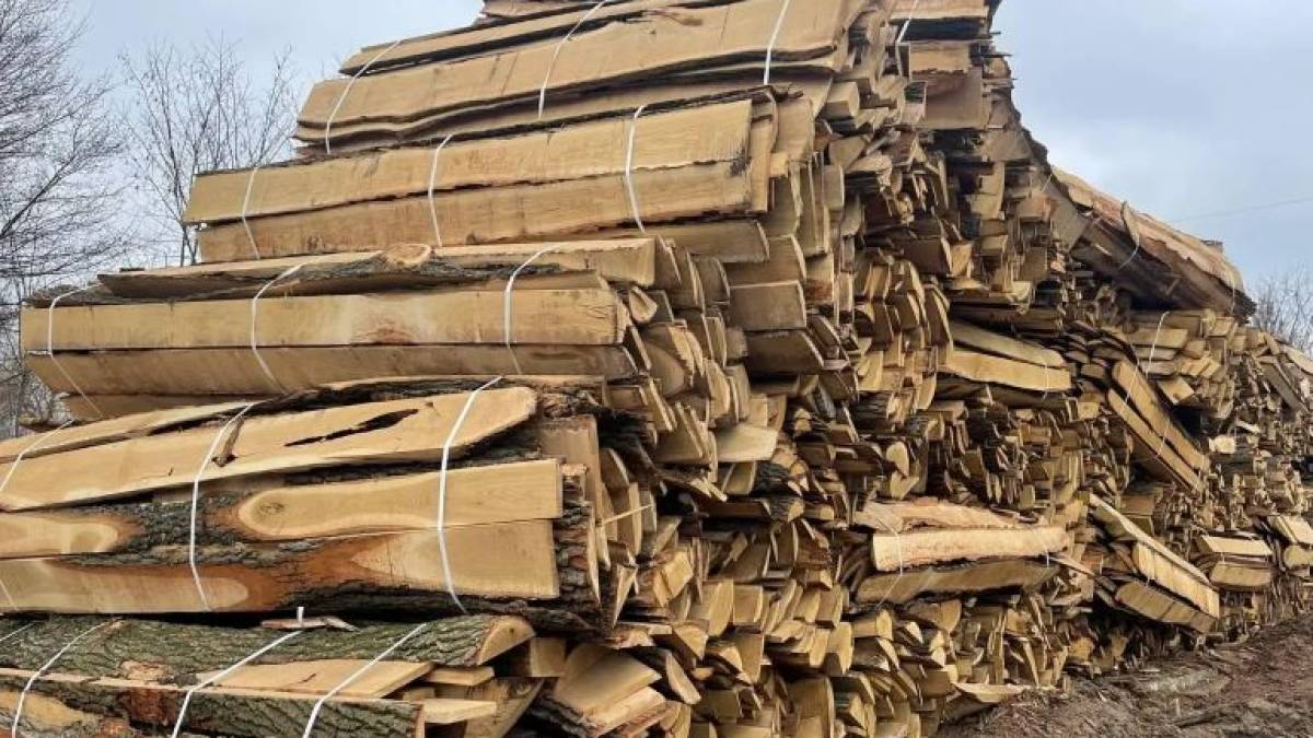 Як запоріжцям отримати виплати на придбання дров