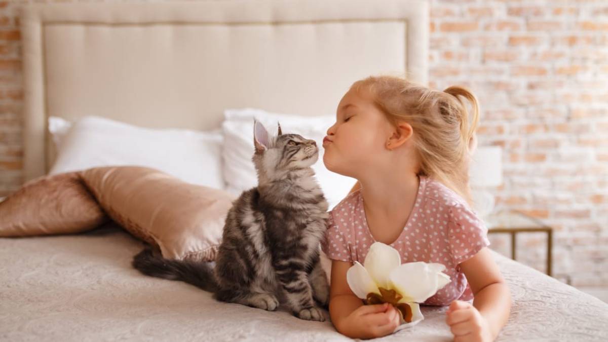 Як коти «розмовляють» із людьми