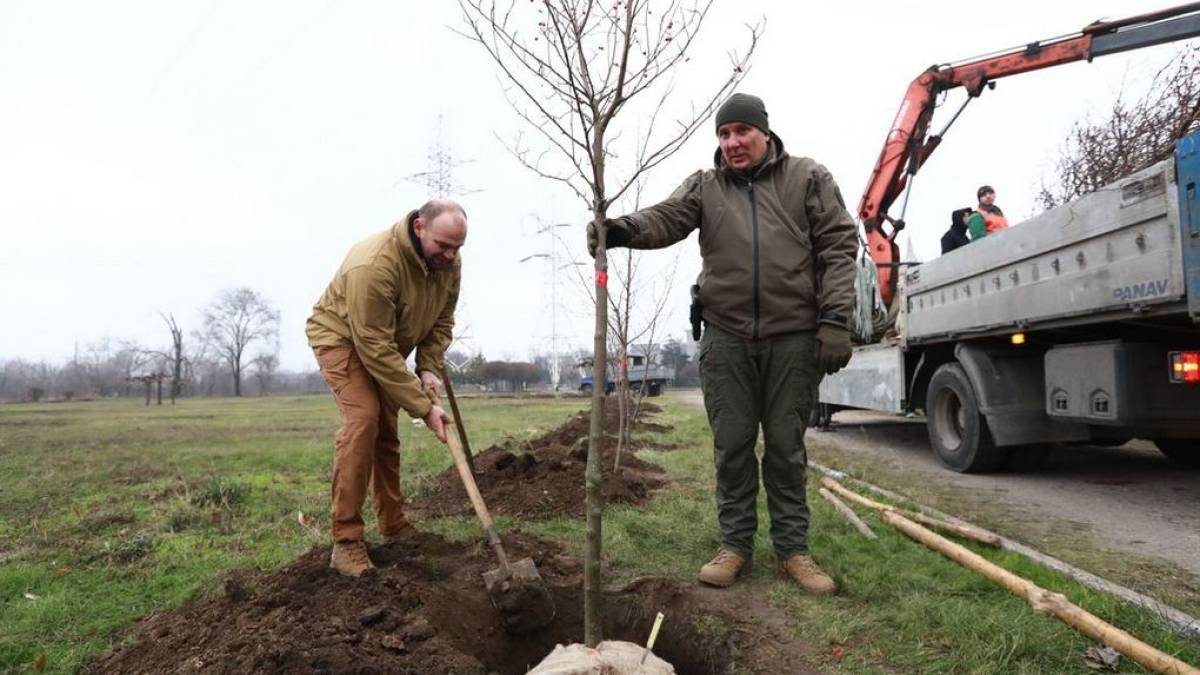У Запоріжжі висадили алею горобини, присвячену героям оборони Маріуполя