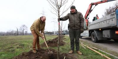 У Запоріжжі висадили алею горобини, присвячену героям оборони Маріуполя