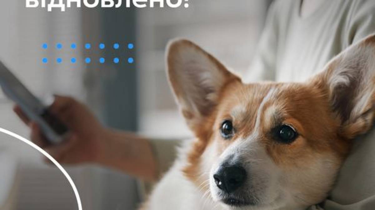 Київстар розпочав включення голосового зв`язку по всій Україні