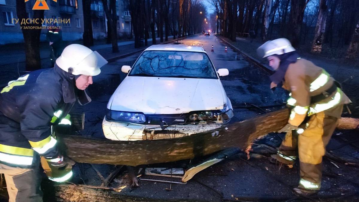 У Запоріжжі із-за падіння дерева сталася автоаварія