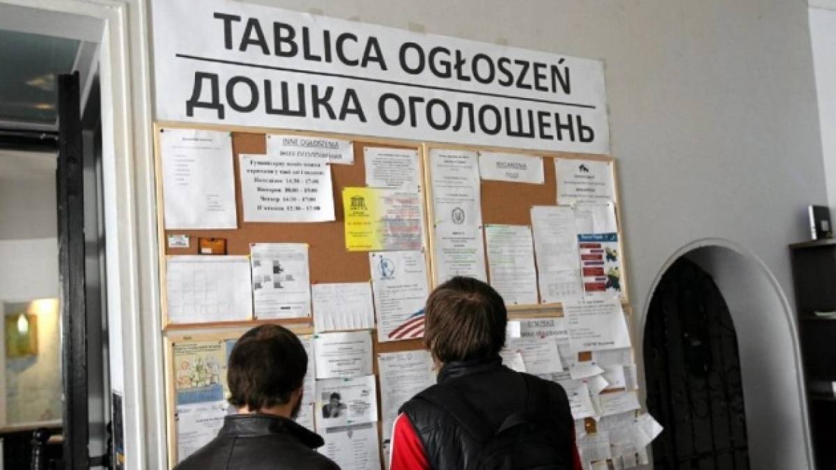 Найбільш затребувані професії в Польщі у 2024 році — дослідження