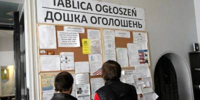 Найбільш затребувані професії в Польщі у 2024 році — дослідження