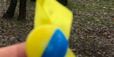 В окупованому Мелітополі партизани поширили понад 100 патріотичних стрічок та плакатів