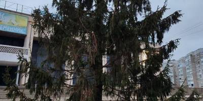 В Енергодарі окупанти зганьбилися з новорічною ялинкою