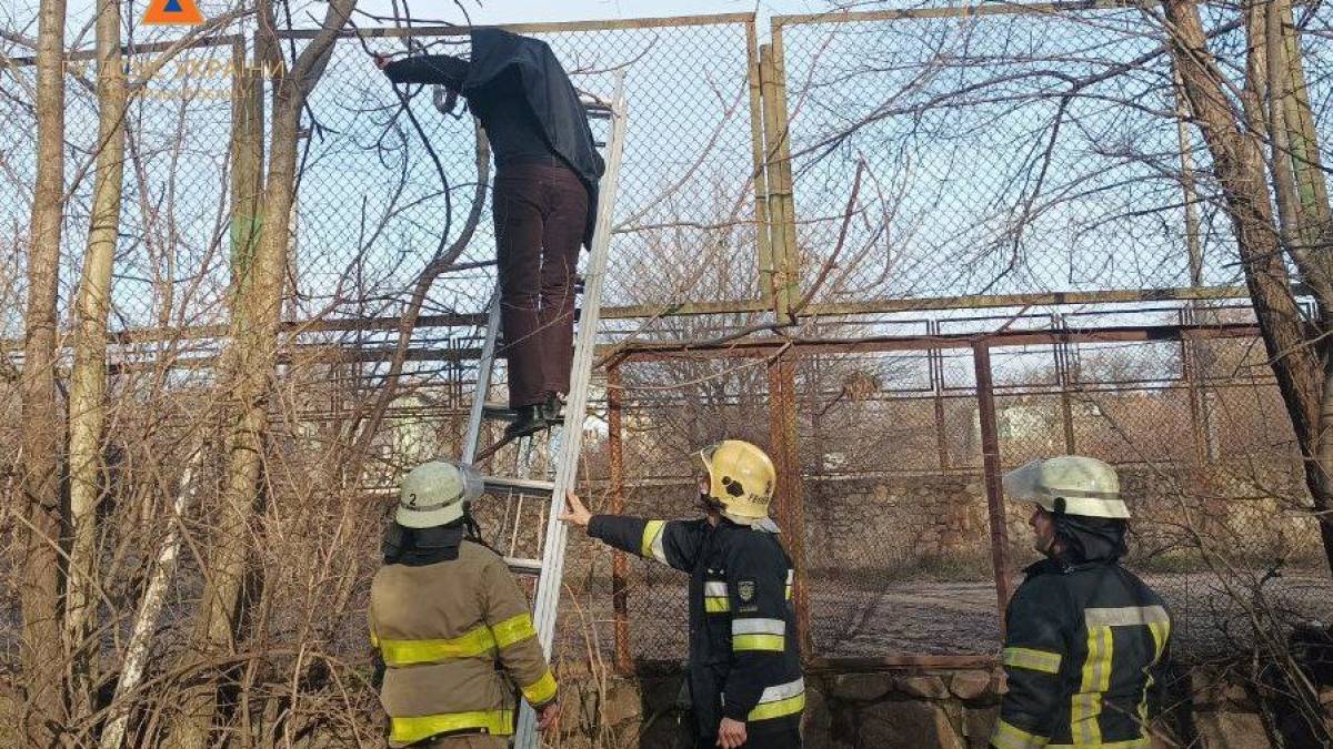 У Запоріжжі чоловік заліз на паркан та кликав на допомогу