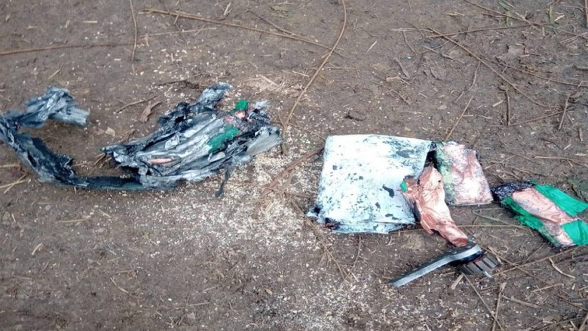 На Запорізькому напрямку прикордонник Моцарт знешкодив 4 FPV-дрони противника