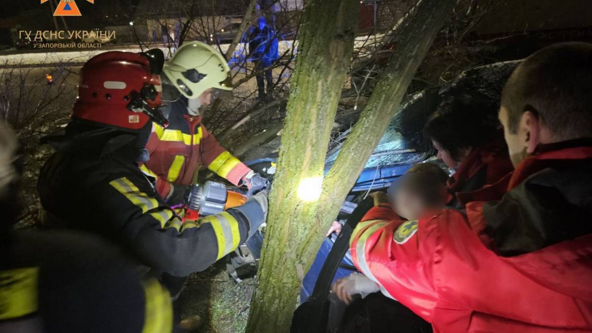 У Запоріжжі авто врізалося в дерево – водія затисло уламками