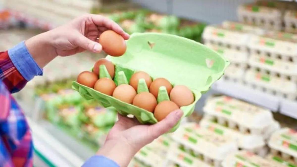 Чи буде дефіцит яєць в Україні: прогноз
