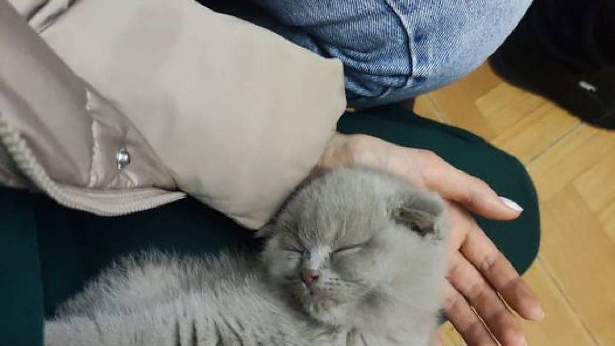 Загарбники обстріляли залізничний вокзал у Херсоні: є загиблий і поранені