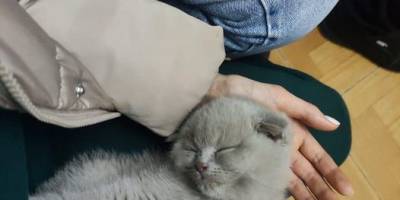 Загарбники обстріляли залізничний вокзал у Херсоні: є загиблий і поранені