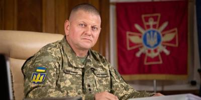 Залужний захистив докторську дисертацію з права на засекречену тему