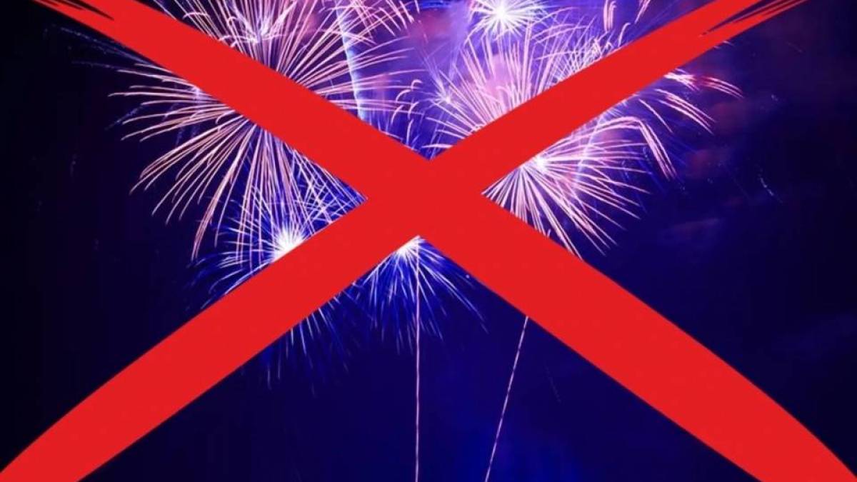 У поліції Запоріжжя нагадали про покарання за салюти та фейерверки