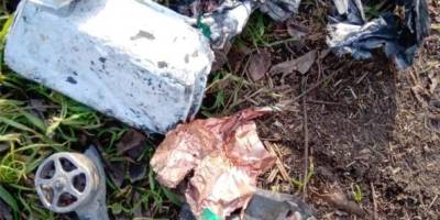 На Запорізькому напрямку прикордонники Моцарт і Тайга знищили сім ворожих дронів