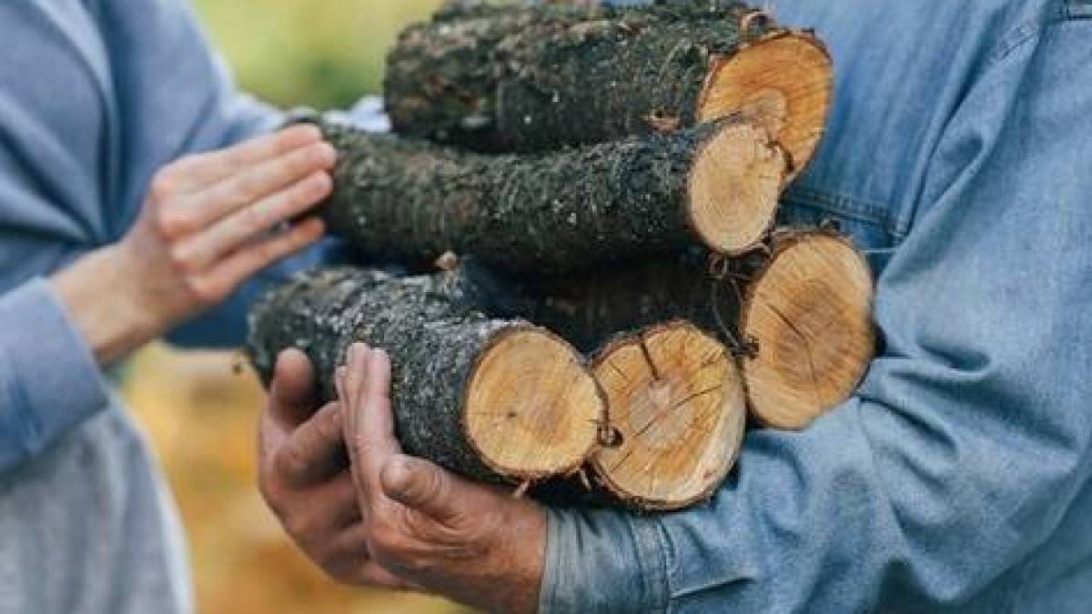 Мешканці запорізьких громад отримують безкоштовні дрова – відео