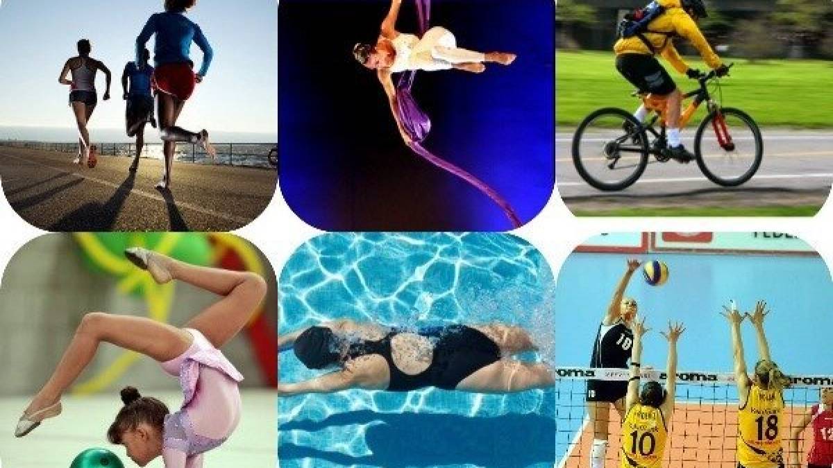 Календар світових спортивних подій 2024 року