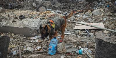 В Покровске на месте разрушенного дома спасатели нашли тело мужчины